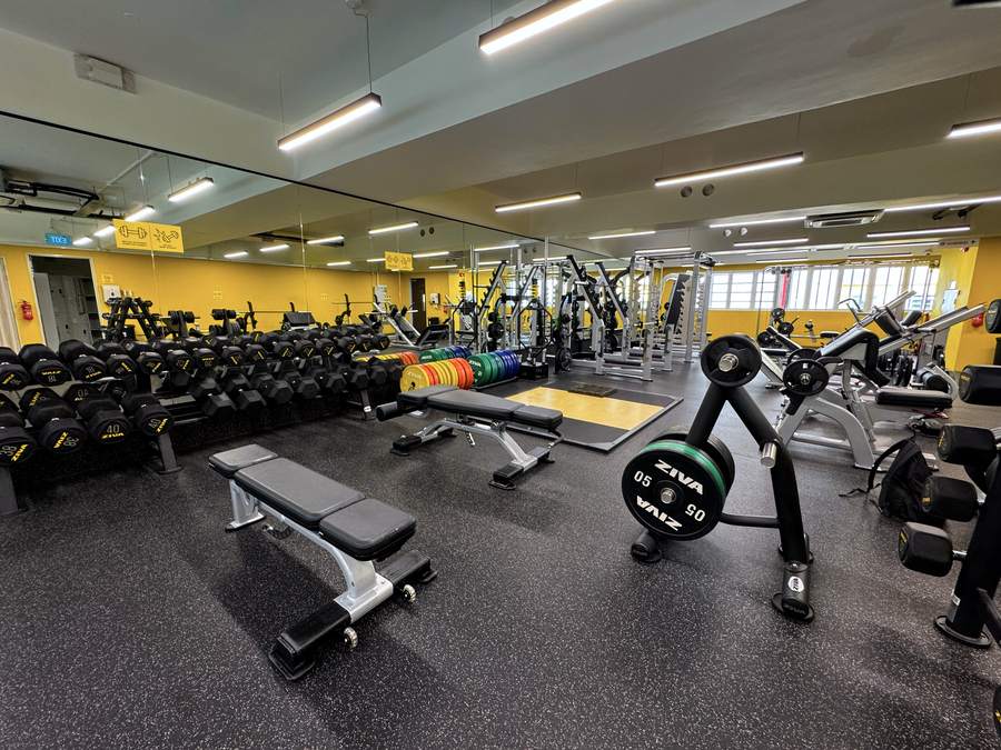 Rows of Ziva rubber dumbbells beside a lifting platform and colour-coded bumper plates