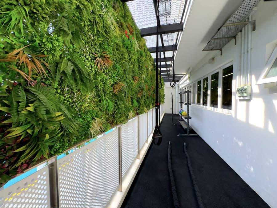Outdoor training balcony with a living green wall, gymnastic rings, TRX straps, battle ropes and kettlebells