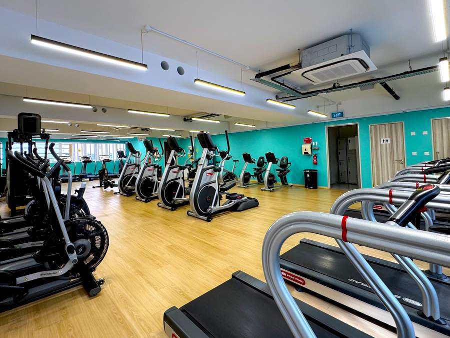 Ellipticals, treadmills and recumbent bikes arranged along a teal wall with daylight from the windows